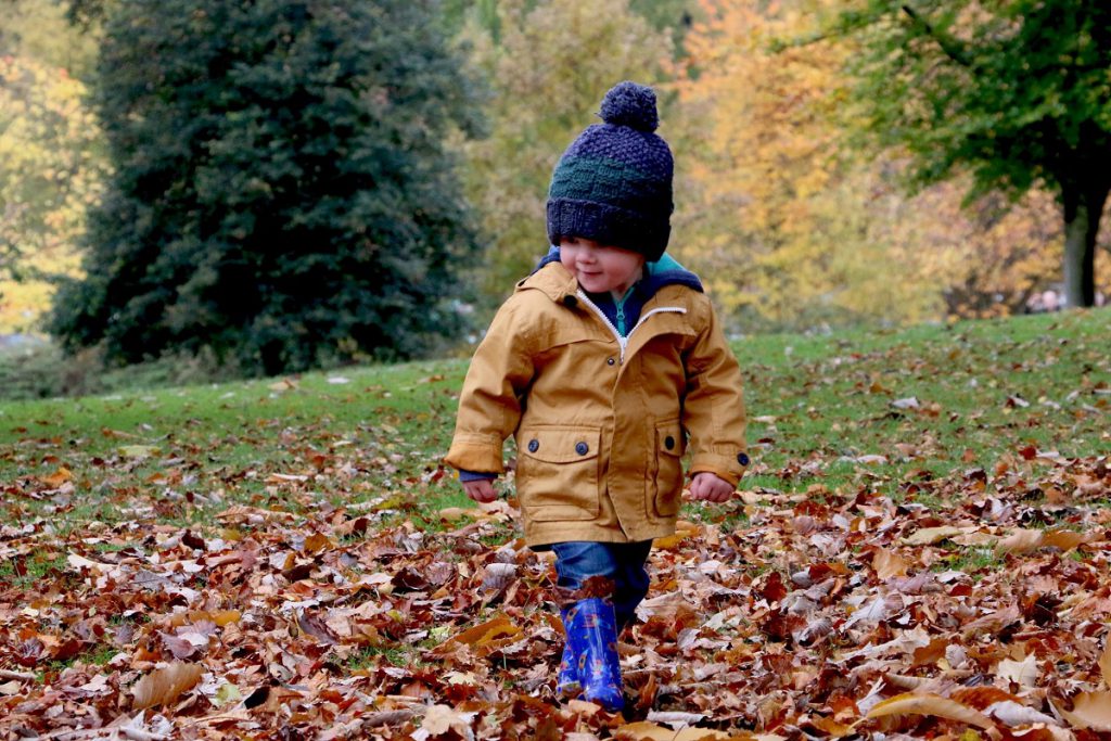 Your Fall “Legal Affairs” Checklist