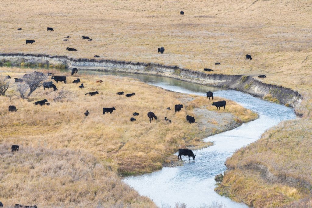Estate planning for farmers and ranchers Austin Estate Planning Lawyer